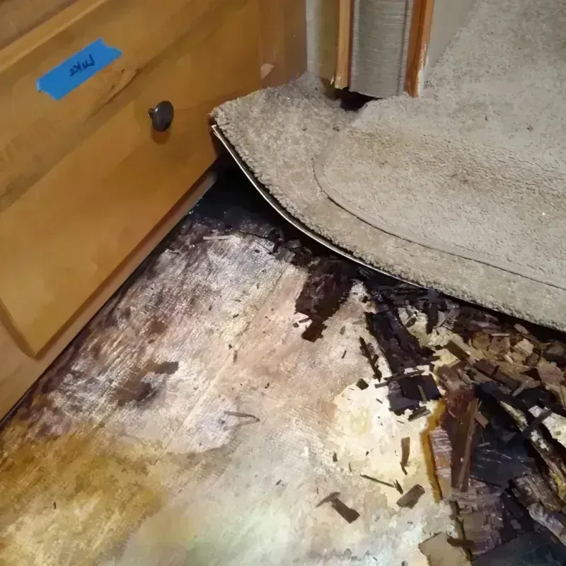 Best Wood Floor Water Damage Service in Ball Ground, GA